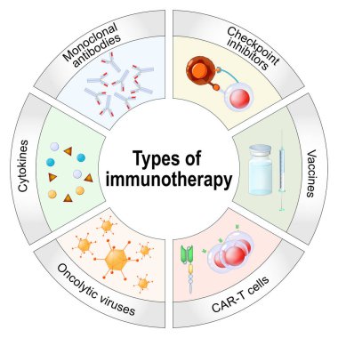 İmmünoterapi türleri. Monoklonal antikorlar, kontrol noktası inhibitörleri, sitokinler, aşılar, onkoli virüsleri ve CAR-T hücreleri. Kişisel tıp. Detaylı Vektör posteri. Isometric Düz İllüstrasyon