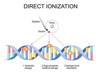 Direkt iyonlaşma. Atom ve DNA moleküllerindeki iyonize radyasyonun doğrudan hareketi yapısal hasara, mutasyona ya da hücre ölümüne neden olur. Ayrıntılı Vektör posteri