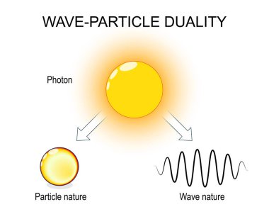 Fotonun dalga-parçacık ikililiği. Kuantum mekaniği. Vektör Ayrıntılı poster