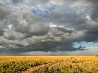 Masai Mara Ulusal Rezerv savanasının üzerinde devasa yağmur bulutları var. Masai Mara ve yerel olarak bilinen adıyla Mara, Kenya, Afrika