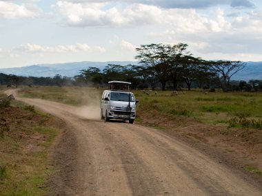 Kenya, Afrika - Ekim 2022 Nakuru Gölü 'nde Safari aracı,
