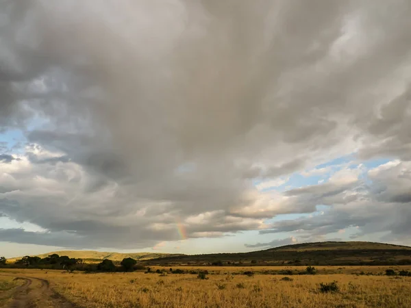 Enorme Regenwolken Boven Masai Mara National Reserve Savanne Masai Mara — Stockfoto