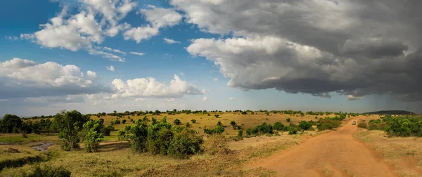 Weg Door Savanne Masai Mara National Reserve Maasai Mara Ook — Stockfoto