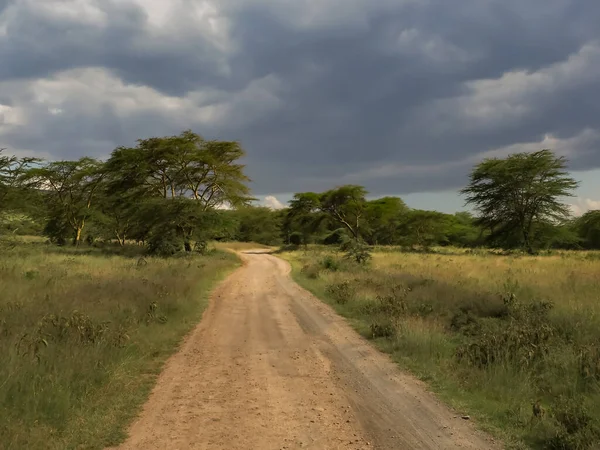 Road Lake Nakuru National Park Kenya Africa — Stock Photo, Image
