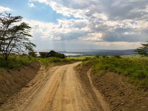 Road Lake Nakuru National Park Kenya Africa — Stock Photo, Image