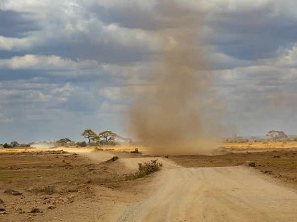 Dry Winding Road Dust Tornado Plain Savannah Amboseli National Park — Stock Photo, Image