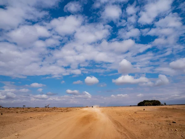 Route Sèche Sur Les Plaines Savane Dans Parc National Amboseli — Photo