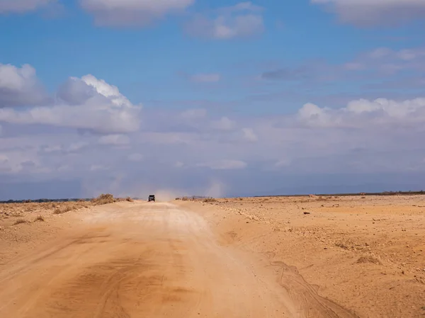 Route Sèche Sur Les Plaines Savane Dans Parc National Amboseli — Photo
