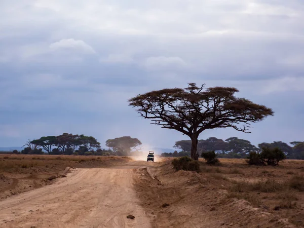 Κένυα Αφρική Οκτ 2022 Αυτοκίνητο Στον Ξηρό Δρόμο Στις Πεδιάδες — Φωτογραφία Αρχείου