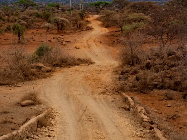 Red Dry Winding Road Savanna Plains Amboseli National Park Kenya — Stock Photo, Image
