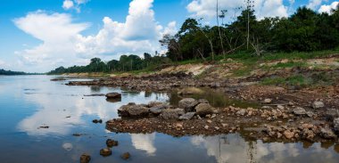 Javari Nehri 'nin taşlı kıyısı, Amazon Nehri' nin akarsuları, alçak su mevsiminde. Amazonia. Selva Brezilya ve Peru sınırında. Güney Amerika.