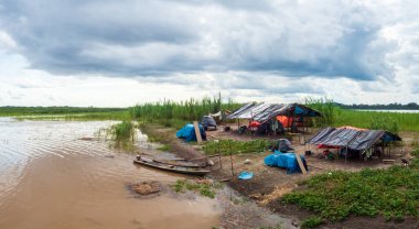 Amazon Nehri, Peru - 04 Aralık 2018: Amazon Nehri üzerindeki adanın panoramik manzarası. Güney Amerika.