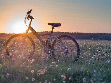 Bug nehri ve bisikletin yanındaki çayırda gün batımı. Podlasie. Podlachia. Polonya, Avrupa. Bölgeye Podlasko veya Podlasze denir. Panoramik görünüm.