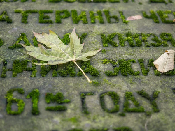 Hoja Otoño Sobre Una Lápida Con Texto Escrito Cirílico — Foto de Stock