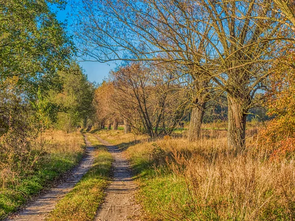 Загородная Дорога Среди Осенью Мазовия Польша — стоковое фото