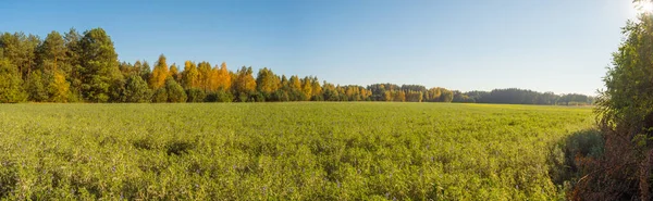Kleuren Van Herfst Het Poolse Land Panoramisch Uitzicht Mazovia Polen — Stockfoto