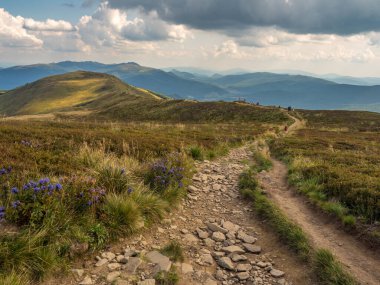 Polonya 'nın Bieszczady İlçesi, Bieszczady Dağları' ndaki Polonina Carynska yürüyüşünden görüntüler. Avrupa, Podkarpackie Voyvoda, Bieszczady, Karpatlar,