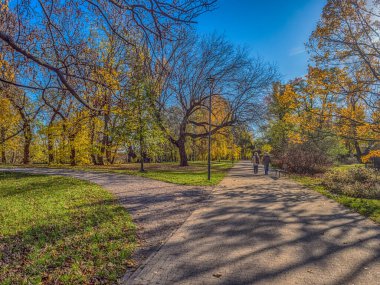 Güzel güneşli sonbahar manzarası Düşmüş kuru kahverengi yapraklar ve sarı ağaçlar