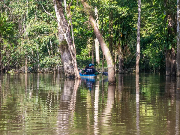 Jangle Brazil May 2016 Kayaking Treetops Flooded Jungle — Stock Photo, Image