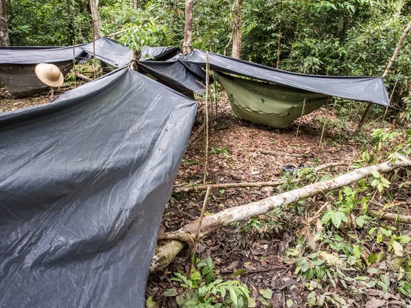 Brezilya Nın Jaguar Gölü Mayıs 2016 Amazon Ormanlarında Kamp — Stok fotoğraf