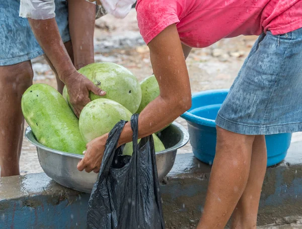 Tabatinga Brasilien September 2018 Kvinnor Säljer Vattenmeloner Regnig Dag Hamnen — Stockfoto