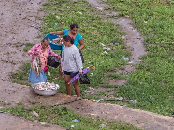 Tabatinga Brazílie Září 2018 Ženy Prodávají Ryby Během Deštivého Dne — Stock fotografie