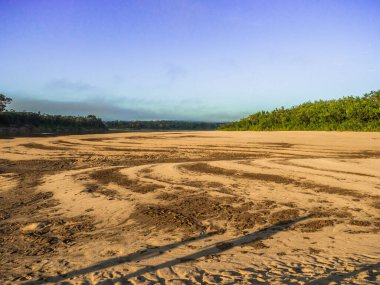 Amazon ormanlarının kumlu sahilleri, alçak su mevsiminde. Amazonia. Selva Brezilya ve Peru sınırında. Güney Amerika. Dos Fronteras.