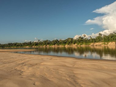 Amazon ormanlarının kumlu sahilleri, alçak su mevsiminde. Amazonia. Selva Brezilya ve Peru sınırında. Güney Amerika. Dos Fronteras.