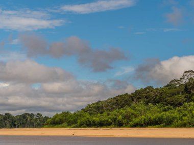 Amazon ormanlarının kumlu sahilleri, alçak su mevsiminde. Amazonia. Selva Brezilya ve Peru sınırında. Güney Amerika. Dos Fronteras.