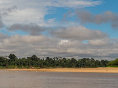 Amazon ormanlarının kumlu sahilleri, alçak su mevsiminde. Amazonia. Selva Brezilya ve Peru sınırında. Güney Amerika. Dos Fronteras.