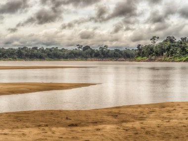 Beautiful sandy beach in Amazon jungle, during the low water season. Amazonia. Selva on the border of Brazil and Peru. South America. Dos Fronteras. clipart