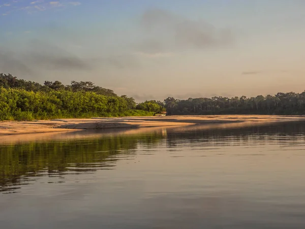 Гарний Піщаний Пляж Джунглях Амазонки Під Час Низького Сезону Амазонія — стокове фото