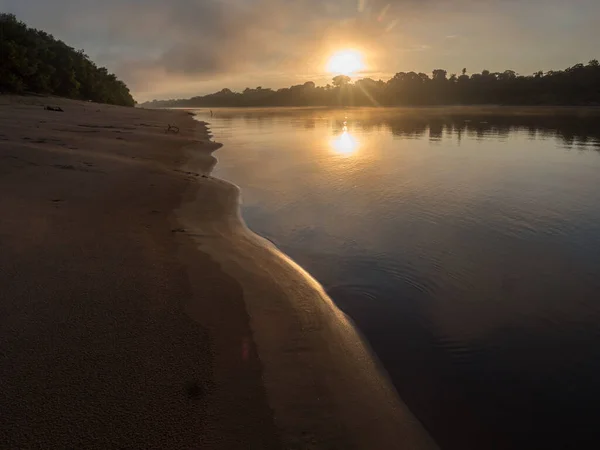 Zonsopgang Javarii Rivier Zijrivier Van Amazone Zandstrand Amazone Jungle Tijdens — Stockfoto