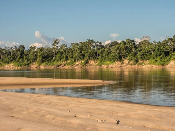 Beautiful Sandy Beach Amazon Jungle Low Water Season Amazonia Selva — Stock Photo, Image