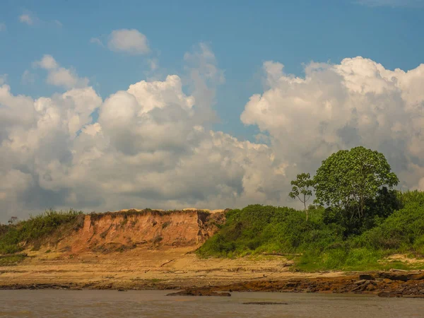 Das Hohe Ufer Des Amazonas Während Der Niedrigwassersaison Amazonien Brasilien — Stockfoto