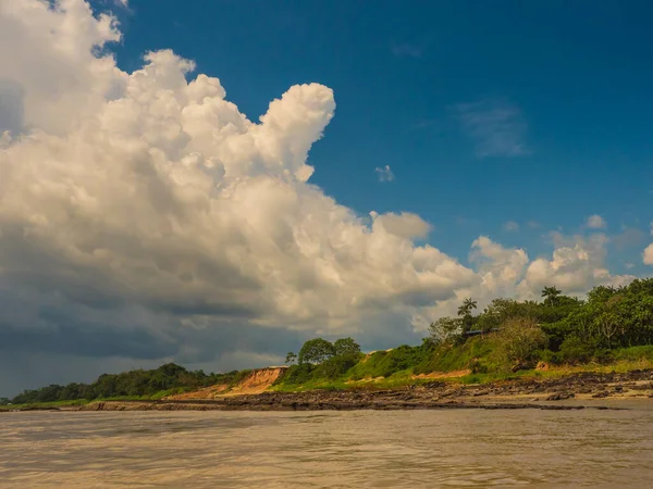 Υψηλή Όχθη Του Αμαζονίου Ποταμού Κατά Διάρκεια Της Χαμηλής Περιόδου — Φωτογραφία Αρχείου