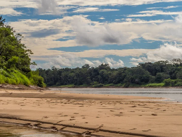 Beautiful Sandy Beach Amazon Jungle Low Water Season Amazonia Selva — Stock Photo, Image