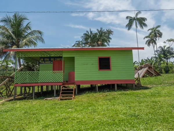 Paumarii Brazília 2018 Szeptember Általános Iskola Amazonasi Dzsungelben Trópusi Esőerdők — Stock Fotó