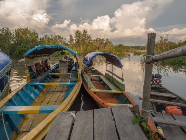 Paumari, Brezilya... 3 Aralık 2017, nehrin kıyısındaki geleneksel Hint tekneleri. Latin Amerika