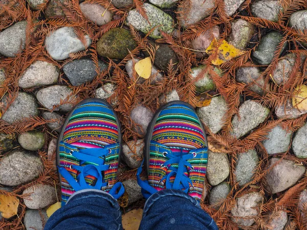 Zapatos Peruanos Coloridos Sobre Fondo Piedras Cubiertas Con Agujas Marrones —  Fotos de Stock