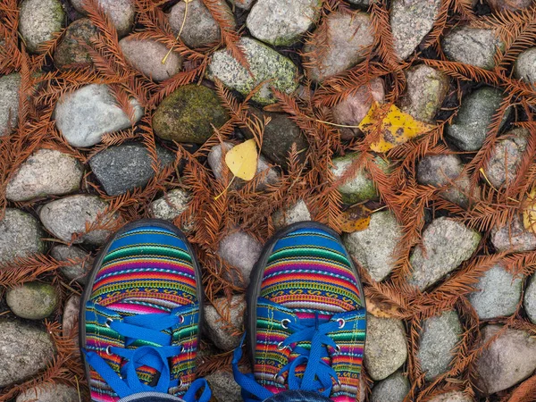 Zapatos Peruanos Coloridos Sobre Fondo Piedras Cubiertas Con Agujas Marrones —  Fotos de Stock