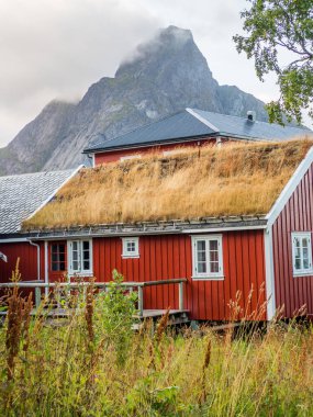 Reine'de geleneksel, kırmızı, ahşap evler. Lofoten Norveç. Avrupa.
