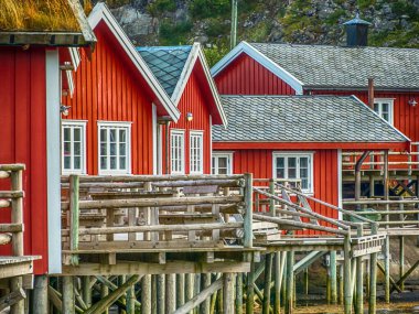 Reine'de geleneksel, kırmızı, ahşap evler. Lofoten Norveç. Avrupa.