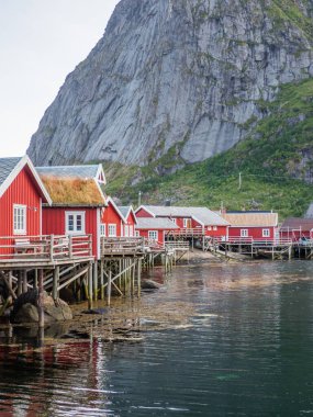 Reine'de geleneksel, kırmızı, ahşap evler. Lofoten Norveç. Avrupa.