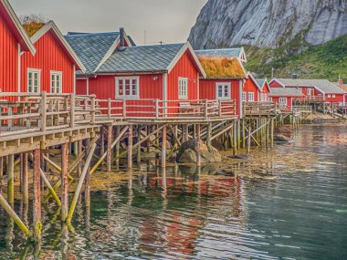 Reine'de geleneksel, kırmızı, ahşap evler. Lofoten Norveç. Avrupa.