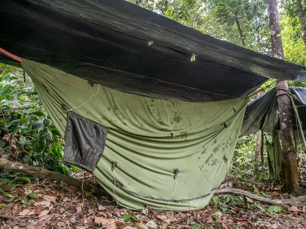 Lagúna Jaguár Brazília Május 2016 Tábor Amazonok Dzsungelében Latin Amerika — Stock Fotó