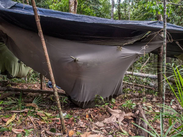 Lagoon Jaguar Brazylia Maja 2016 Obóz Dżungli Amazonek Ameryka Łacińska — Zdjęcie stockowe