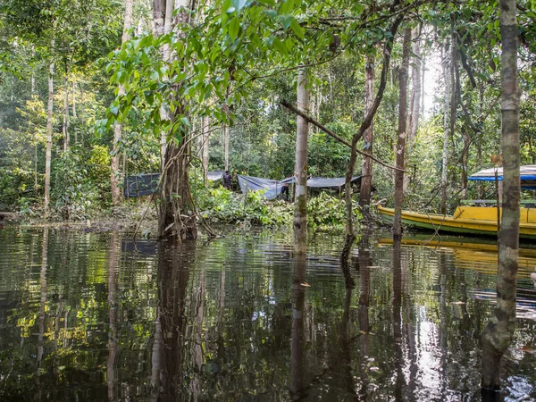 Lagune Jaguar Brésil Mai 2016 Camp Dans Jungle Amazonienne Amérique — Photo