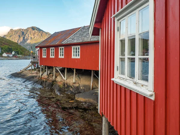 Tradicional Vermelho Casas Madeira Reine Lofoten Noruega Europa — Fotografia de Stock