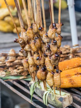 Solucanlar ızgarada pişmiş yapılmış kebab.
